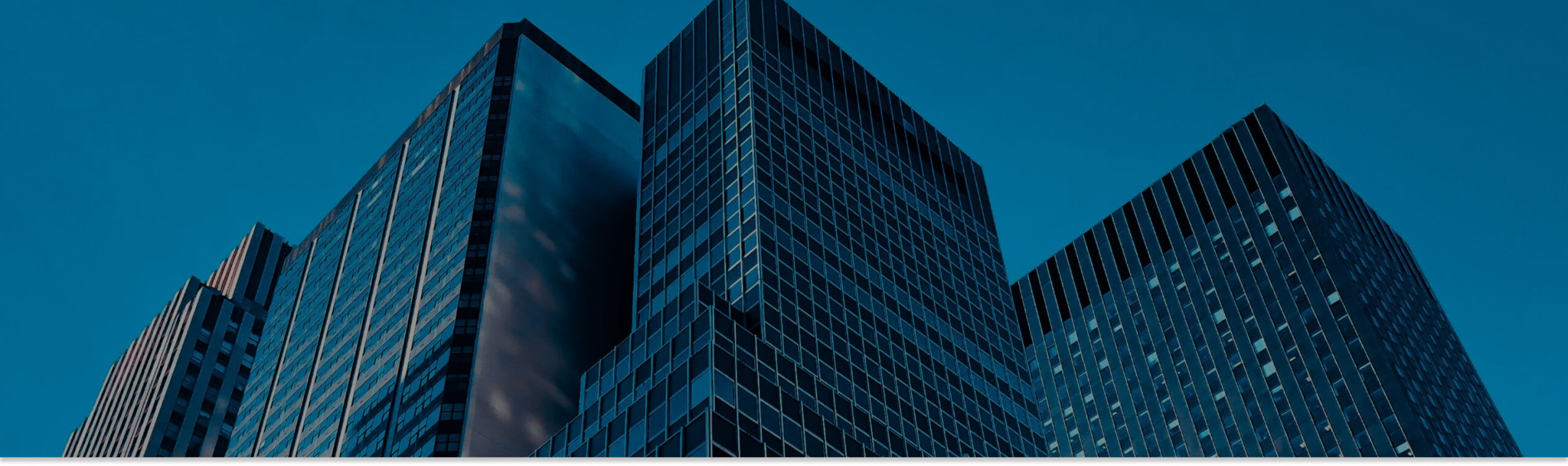 賞状、資格のタイトル②